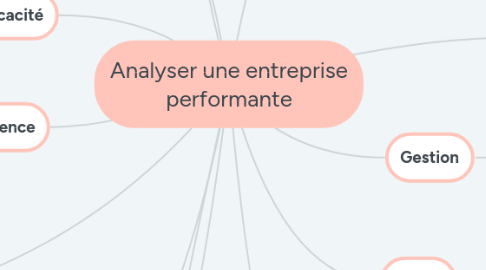 Mind Map: Analyser une entreprise performante
