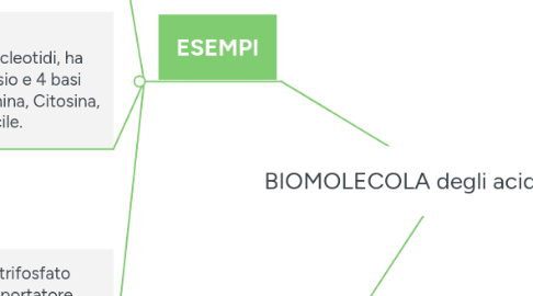 Mind Map: BIOMOLECOLA degli acidi nucleici