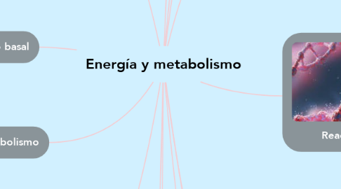 Mind Map: Energía y metabolismo
