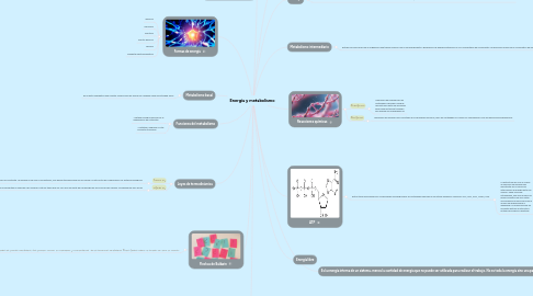 Mind Map: Energía y metabolismo