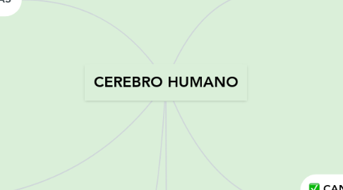 Mind Map: CEREBRO HUMANO