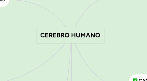 Mind Map: CEREBRO HUMANO