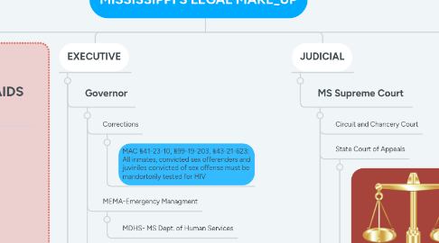 Mind Map: MISSISSIPPI'S LEGAL MAKE_UP