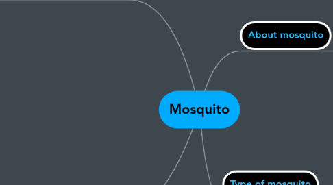 Mind Map: Mosquito