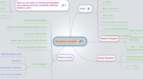 Mind Map: Bertha's death