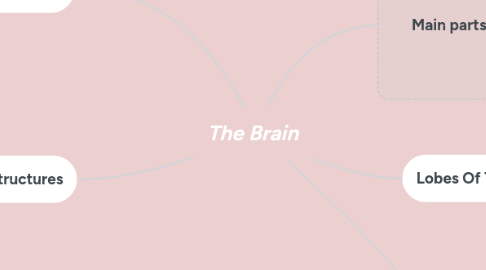 Mind Map: The Brain