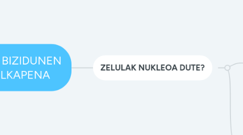 Mind Map: IZAKI BIZIDUNEN SAILKAPENA