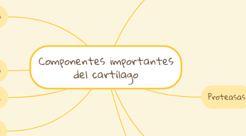 Mind Map: Componentes importantes del cartílago