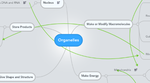 Mind Map: Organelles