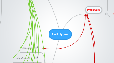 Mind Map: Cell Types