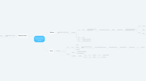 Mind Map: Acción insulina y resistencia a la insulina