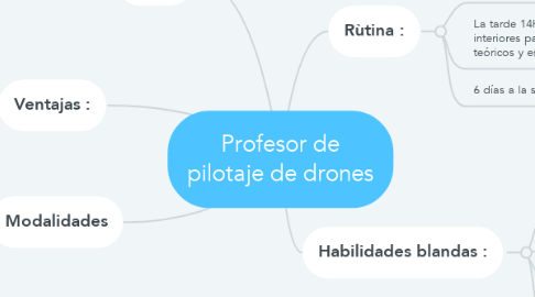 Mind Map: Profesor de pilotaje de drones