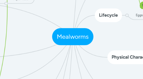 Mind Map: Mealworms