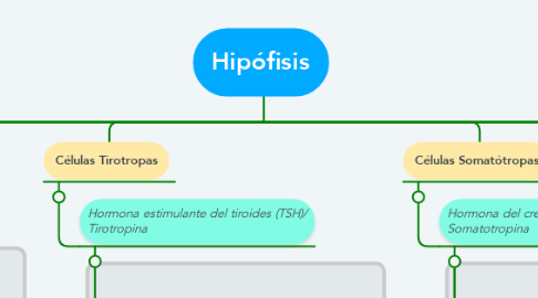 Mind Map: Hipófisis