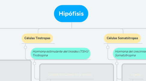 Mind Map: Hipófisis