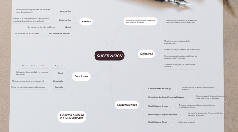 Mind Map: SUPERVISIÓN