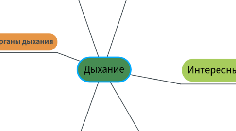 Mind Map: Дыхание