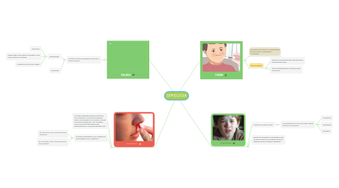 Mind Map: SEMIOLOGIA