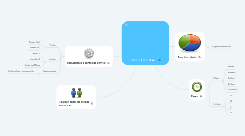 Mind Map: CICLO CELULAR