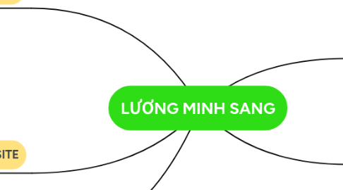 Mind Map: LƯƠNG MINH SANG