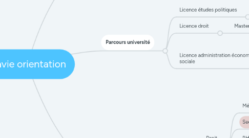 Mind Map: Flavie orientation