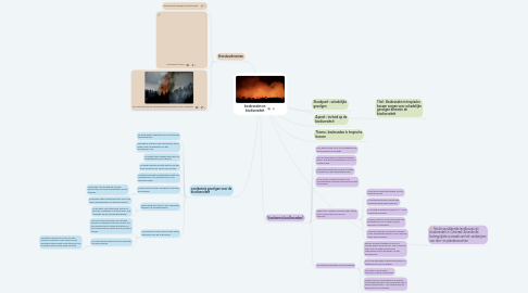 Mind Map: bosbranden en biodiversiteit