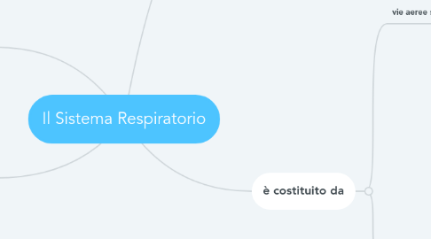 Mind Map: Il Sistema Respiratorio