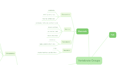 Mind Map: Vertebrate Groups