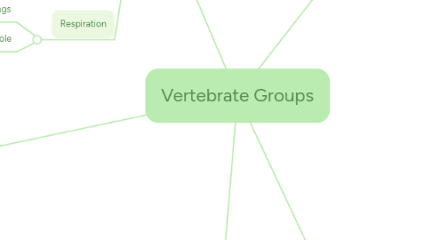 Mind Map: Vertebrate Groups