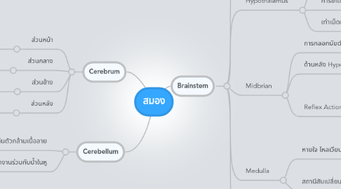 Mind Map: สมอง