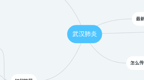 Mind Map: 武汉肺炎