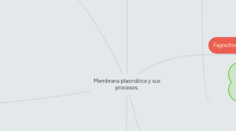 Mind Map: Membrana plasmática y sus procesos.