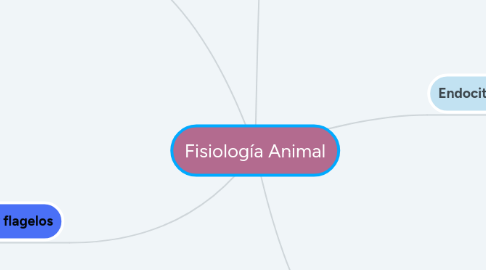 Mind Map: Fisiología Animal