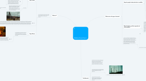 Mind Map: Wildfires (Forest Fires)