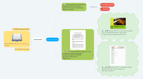 Mind Map: De las sucesiones