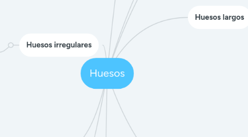 Mind Map: Huesos