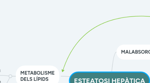 Mind Map: ESTEATOSI HEPÀTICA