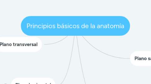 Mind Map: Principios básicos de la anatomía