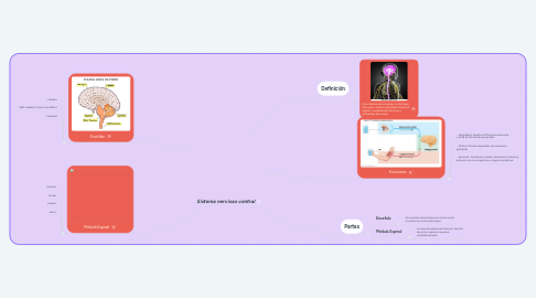 Mind Map: Sistema nervioso central