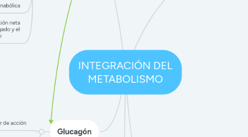 Mind Map: INTEGRACIÓN DEL METABOLISMO