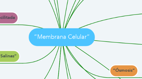 Mind Map: “Membrana Celular”