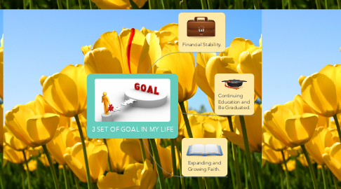Mind Map: 3 SET OF GOAL IN MY LIFE