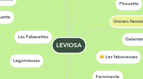 Mind Map: LEVIOSA