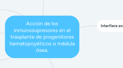 Mind Map: Acción de los inmunosupresores en el trasplante de progenitores hematopoyéticos o médula ósea.