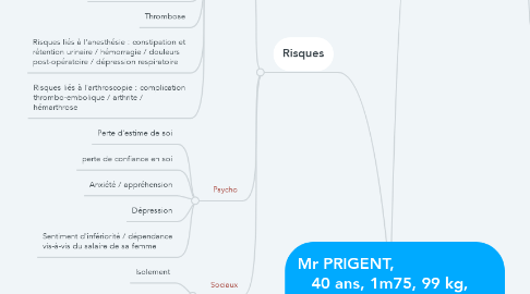 Mind Map: Mr PRIGENT,                     40 ans, 1m75, 99 kg,   marié, 2 enfants