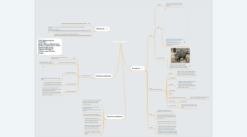 Mind Map: Bosque espinoso