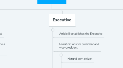 Mind Map: US Gov.