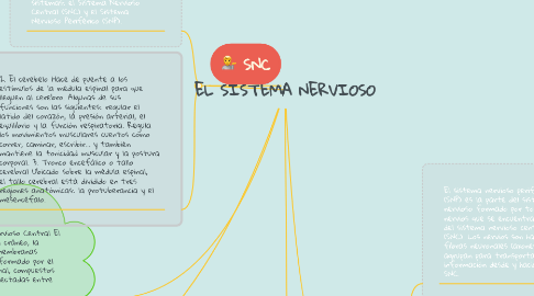 Mind Map: EL SISTEMA NERVIOSO