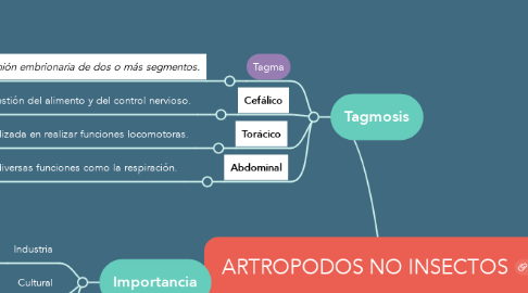Mind Map: ARTROPODOS NO INSECTOS