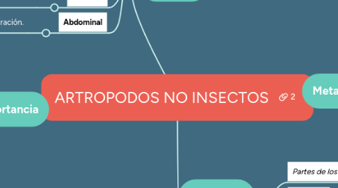 Mind Map: ARTROPODOS NO INSECTOS